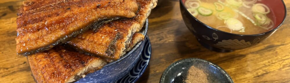 みなとや三台目 鰻丼