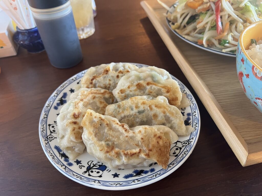 ギョウザとカレーのてっちゃん 餃子定食 餃子のみ