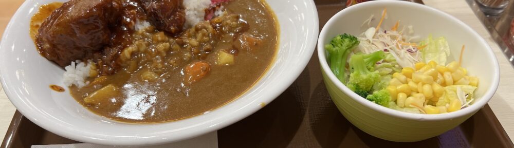 すき家 ポークロックカレー 肉ツイン＋サラダ