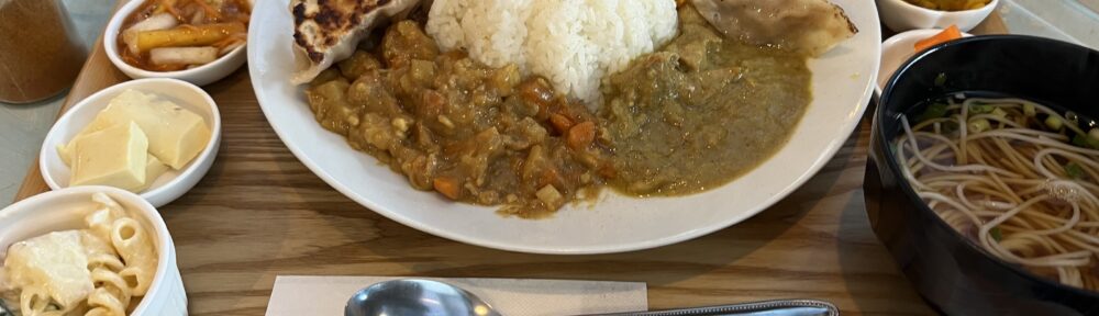 カレーとぎょうざのてっちゃん カレーセット＋ぎょうざ2個