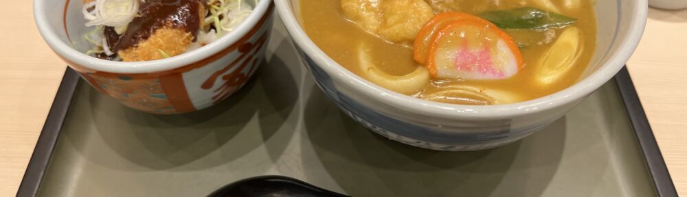 セントレア 若鯱家 うどんセット カレーうどん＋ミニ味噌かつ丼